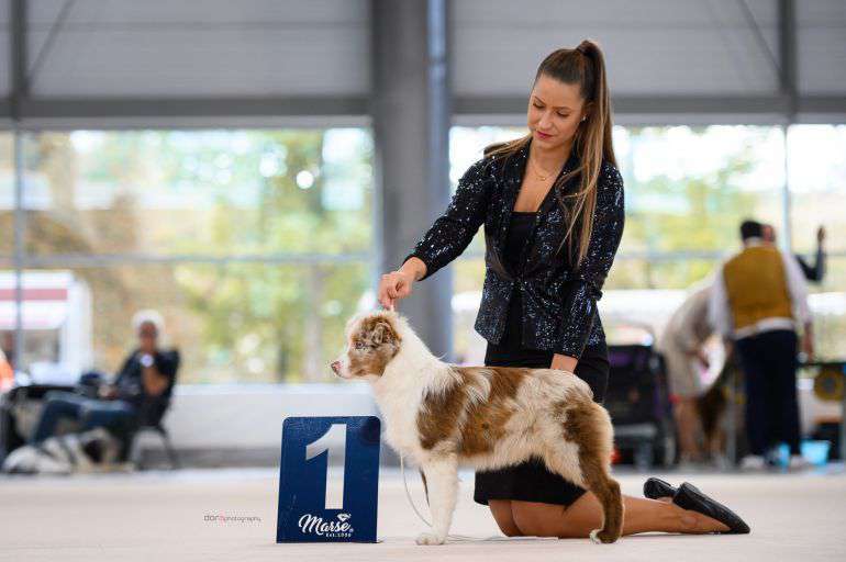 Eva Brelih Klub 5 3.jpeg